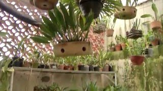 Miniatura do vídeo