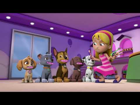 The Pups Have Their Teeth Cleaned By Katie - Paw Patrol