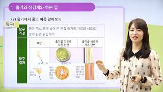 [동아출판] 백점 시리즈 초등 6학년 백점 과학 - 4. 식물의 구조와 기능 _줄기의 생김새와 하는 일