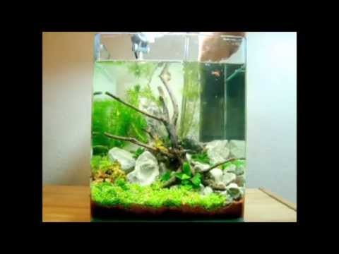 20L Dennerle Nano-Cube Einrichten - 5 Gallon nano tank set up