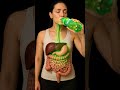 Inside Your Body: What Happens When You Drink Sprite #DigestiveSystem #AnatomyPop  #HumanBody