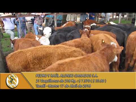 17-04-18 Venta de Hembras - Pedro y Raúl Alonso Ganados S.A. - Tandil