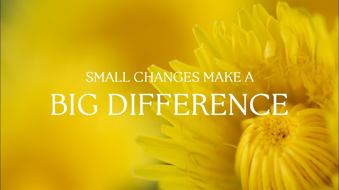 The Non-Negotiables That Make Macro and Intimate Landscape Photography So Much Better