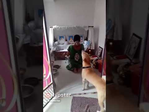 Sri Anukul Thakur ji ka Pooja