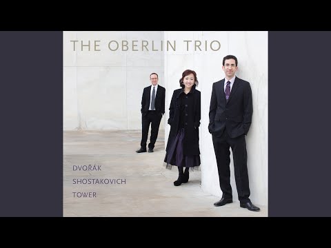 Piano Trio No. 2 in E Minor, Op. 67: I. Andante