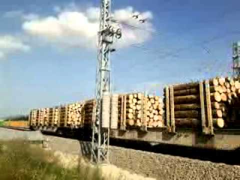 Kocur  Trať.120   1.august 2011