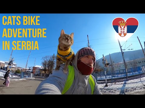 Cats bike ride to Serbia 🚴🏼‍♂️😻❤️ Vlog#18
