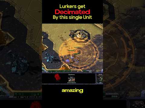 I Shocked Serral With This Crazy Move