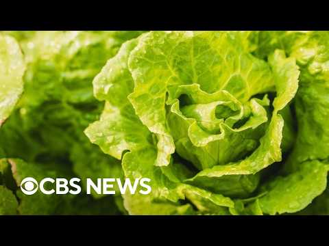 Diarrhea-causing parasite outbreak possibly tied to iceberg lettuce from Mexico