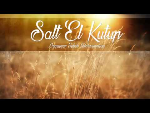 03. Salt El Kutup - Şiraze
