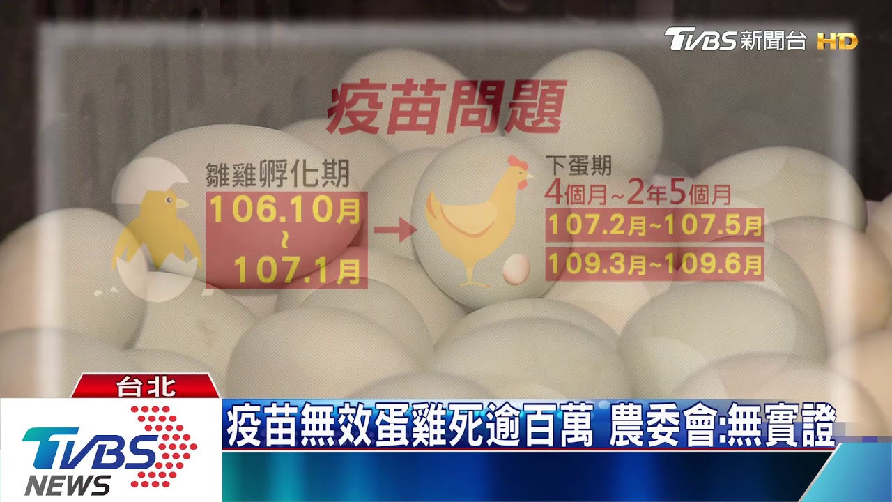雞蛋之亂!農委會稱823水災 否認疫苗影響