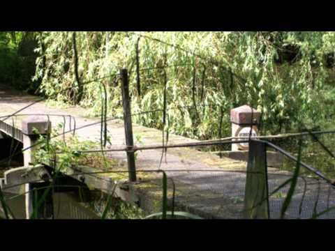 Hortus Botanicus VU Amsterdam