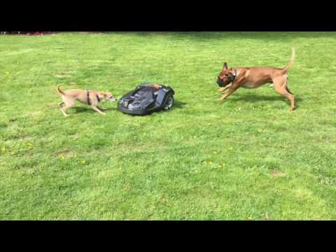 Husqvarna Automower® - der 430X - Zusammenschnitt