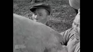 Аман хуур МУСК (Монгол киноны сэтгэлд хоногшсон хэсгүүдээс)