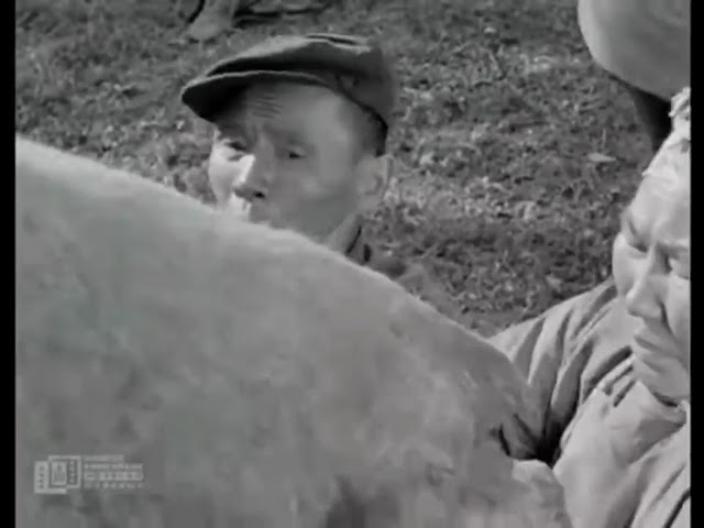 Аман хуур МУСК (Монгол киноны сэтгэлд хоногшсон хэсгүүдээс)