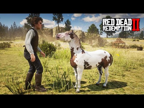 FILHOTE DE CRIOULO - Nasceu na nossa fazenda - Red Dead Redemption 2