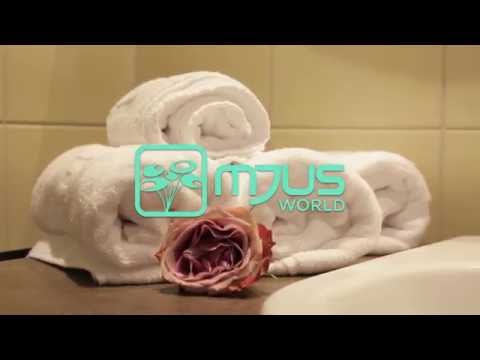 FAMILY ROOM AT MJUSWORLD