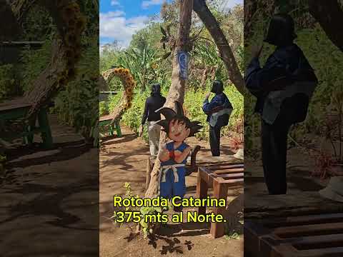 📍 Heliconias de Nicaragua, Catarina. 🌻✨