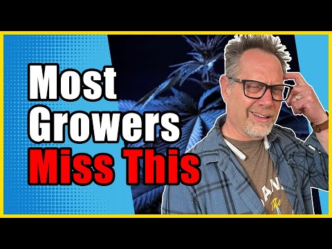 Understanding VPD Was Hard Until I Discovered This About Cannabis Grow Rooms