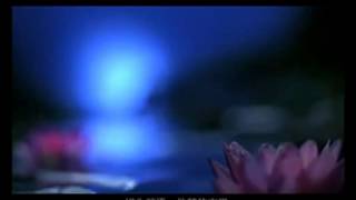 [Vietsub] Trăng sáng ao sen (Hà đường nguyệt sắc) - Phượng Hoàng Truyền Kỳ