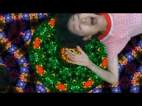 夜貓組-貓脾氣(unofficial music video)