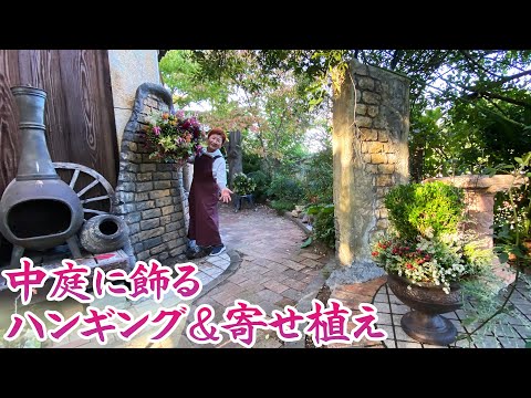 ノコギリソウ「アプリコットディライト」