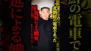 【北朝鮮】列車の遅延で乗客が餓死！？劣悪な鉄道インフラの実態が恐怖すぎた... #shorts