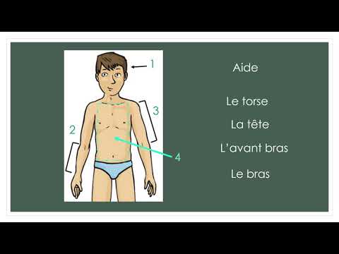 Questionner le monde - Les mouvements corporels [partie 1]