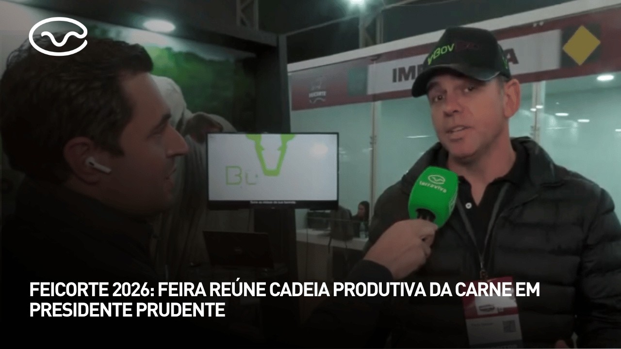 Feicorte 2026 traz as novidades das raças bovinas de carne