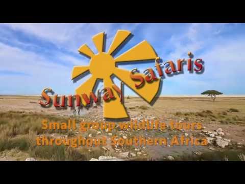 Sunway Safaris Namibia Etosha National Park
