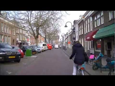 Veolia lijn 81: Delft, Kuyperwijk - IKEA