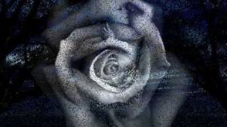 Rino Gaetano - Sei ottavi.wmv