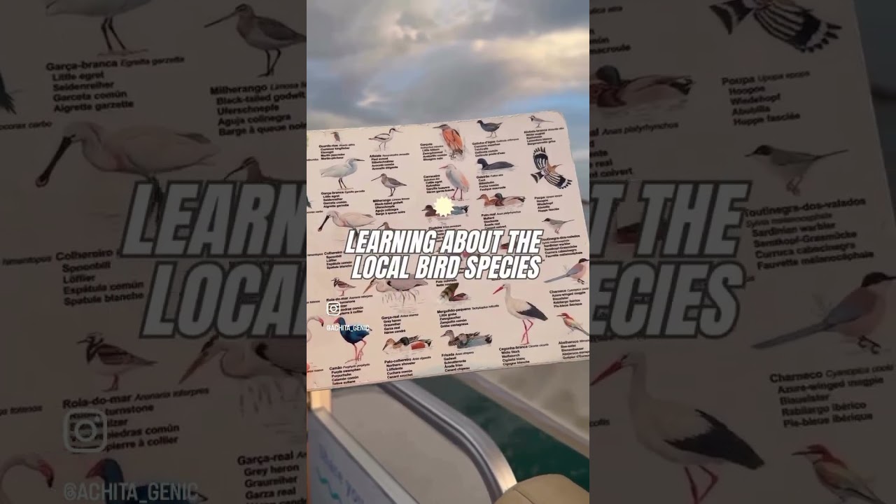 YouTube Short thumbnail