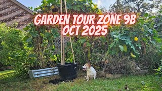 Autumn Abundance 🍁 | Touring the October 2025 Garden