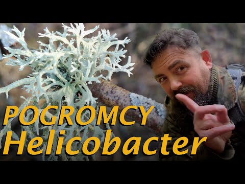 Porosty - źródło niesamowitych leków 💊💉🧪🌡