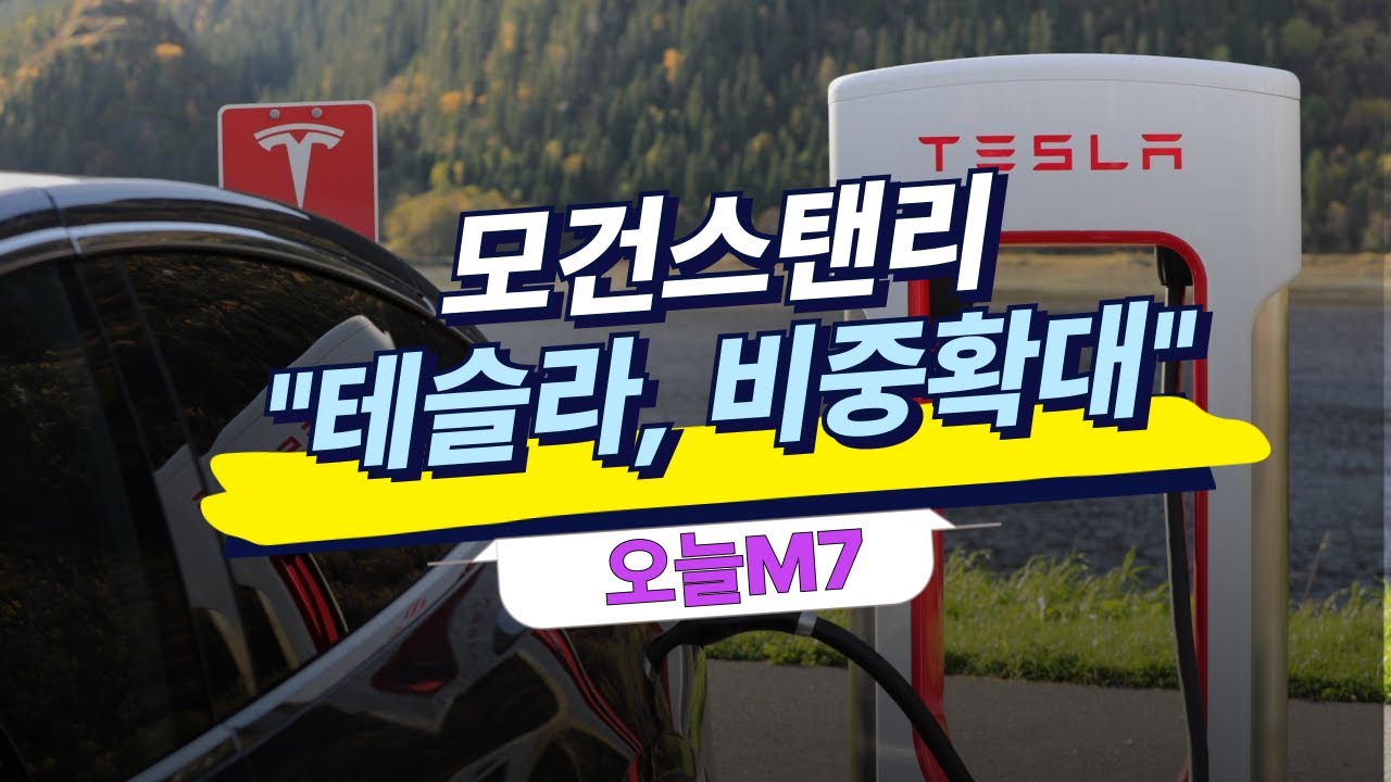 모건스탠리 "테슬라, 비중확대" [오늘M7]