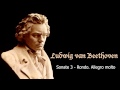 Ludwig van Beethoven - Sonate 3 - 3. Rondo. Allegro molto