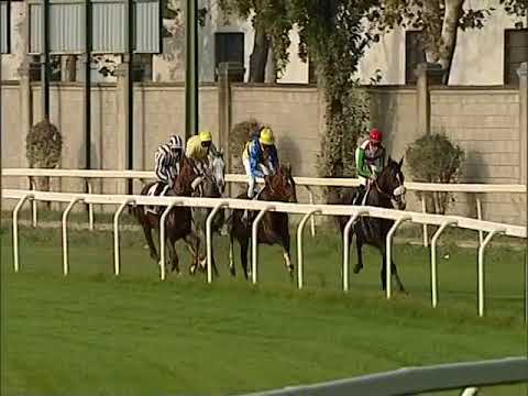 Full Drago Jockey Club