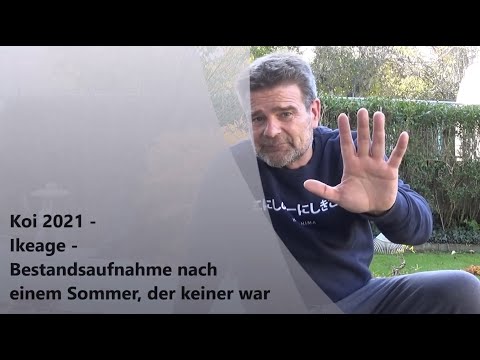 Koi 2021-3 - Ikeage - Bestandsaufnahme nach einem Sommer, der keiner war