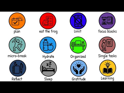 Every Daily Habit That Boosts Your Productivity Explained