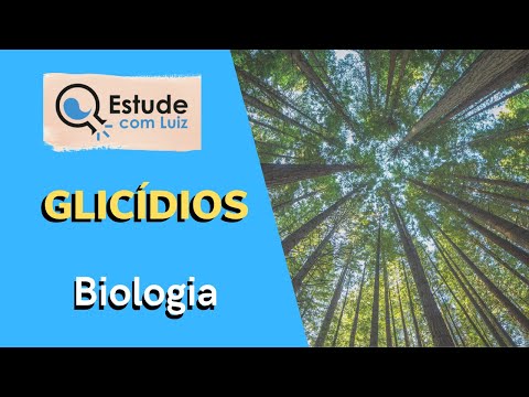 ENEM 2022 | Glicídios | Biologia | JJ