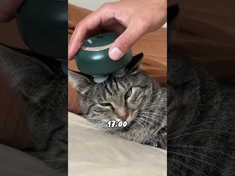 On est d’accord pour la fin ?