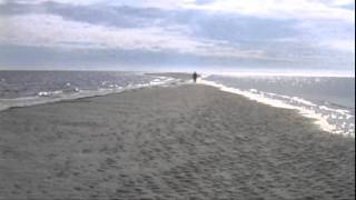 preview picture of video 'The Vanishing Island near Hilton Head Island, SC'