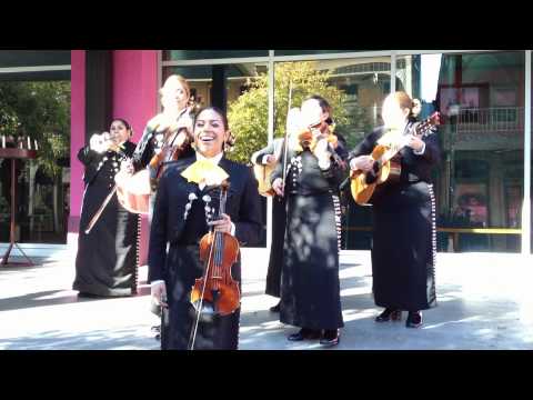 Mariachi Flor de Jalisco- La Malaguena