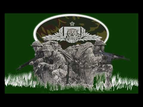 Pariuaté-rã - Boi Caprichoso