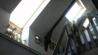 Saint-Dolay Maison Ferme Jardin Terrain 800 m² -  budget 20