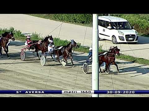 Aversa trotto 30 Settembre 2020 - 5° Corsa