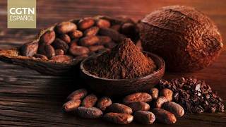 Perú se suma a selecto grupo internacional de chocolateros