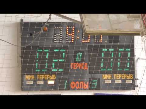 11 Angry Bees   Tigers