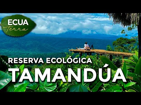 Ecuaterra🌱| La reserva ecológica Tamandúa está en el cantón Santa Clara, Pastaza | Ecuavisa